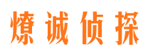 磐石市场调查